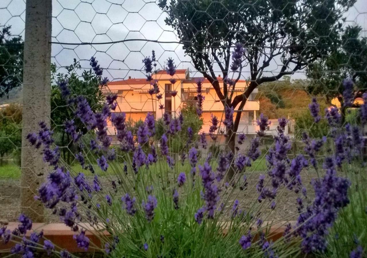 Casa Vacanza Demetra Marina di Fuscaldo Bagian luar foto